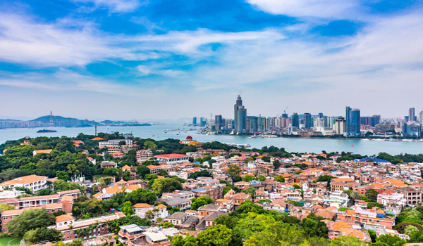 1615863869740514.jpg 0.jpg