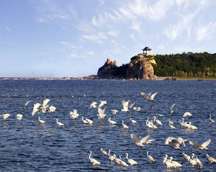 1619436774669147.jpg 秦皇島.jpg