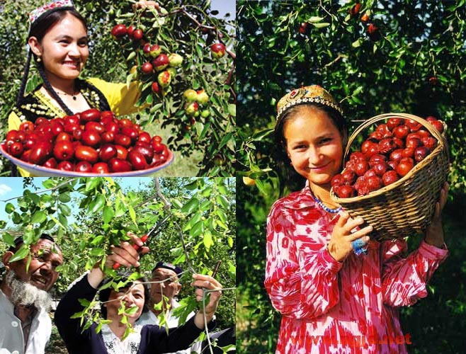 1624861505310731.jpg 和田.jpg