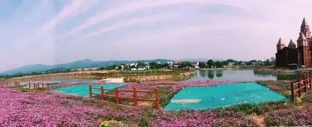 1636711931548503.jpeg fbd892b6f69bd2442de8ee04891f5069.jpeg